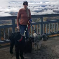 Jane Cleinmark's profile image