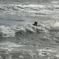 Patricia Ann Causey's profile image