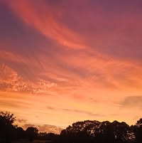 Brenda Jeffreys's profile image
