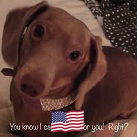 Tina Landers's profile image