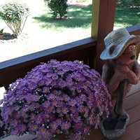 Lavelle Willingham's profile image