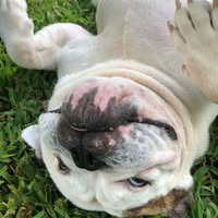 Rebecca Schramm's profile image
