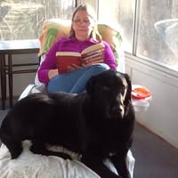 Susan Perry's profile image