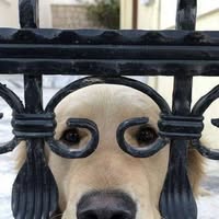 Howard Brobst's profile image