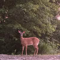 Teresa Nicole Luffman's profile image