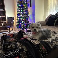 Frances Adkins's profile image
