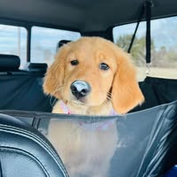 Melissa Johnson's profile image