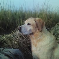 Nancy Smith's profile image
