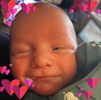 Terry Shearman's profile image