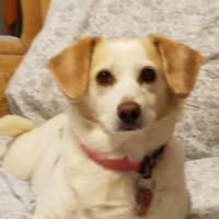 Sharon Moorhead's profile image