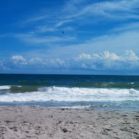 Kathi Hipps's profile image