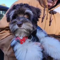 Gail Abbott's profile image