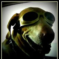 Jennifer Lane's profile image