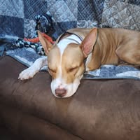 Donald Ruark's profile image