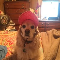 Patrice Ayres's profile image