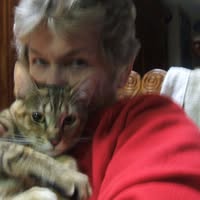 Connie Bassett's profile image
