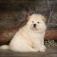 Wilma Polk's profile image
