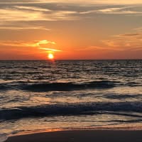 Phyllis Wyrick's profile image