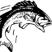 Terry Kittrell's profile image