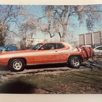 Shelley Mayberry Crocker's profile image