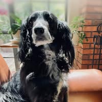 Eileen Turner Spragins's profile image
