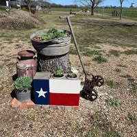 Debra Granstaff's profile image