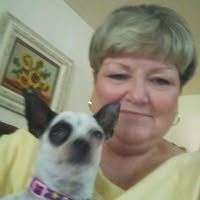 Sherry Dorety's profile image