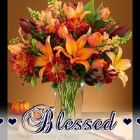 Charolette LaRocca's profile image