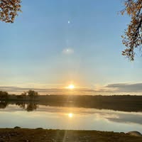 Jennifer Krome's profile image