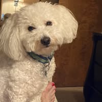 Nancy VanRooy's profile image