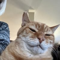 Rhonda Jewell's profile image