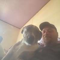 Jamie Daniel's profile image
