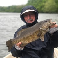 Paul Stevens's profile image