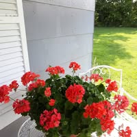 Myrtle A. Griffin's profile image