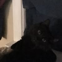 April Payne's profile image