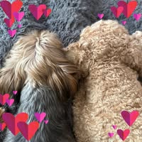 Cathy McGaughey Sloan's profile image