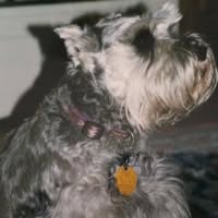 Justine Moon's profile image