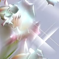 Debbie Gordon's profile image