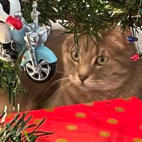 Joan Phillips's profile image