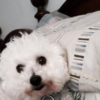 Ruby Laslie's profile image