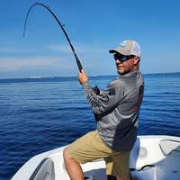 David Volpert's profile image