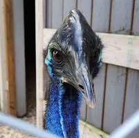 Kathy Boak Hicks's profile image