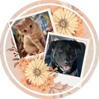 Brenda Eusebio Barrera's profile image
