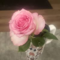 Windy Ratcliff's profile image