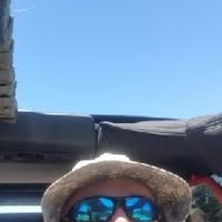 Ernie Scott's profile image