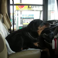 Cheryl Yerger Bressler's profile image