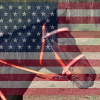 Vicky Lane Trainor's profile image