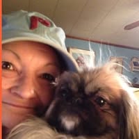 Sharon Fiume Sholette's profile image