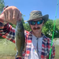 Michael Snyder's profile image
