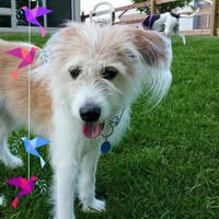 Kathleen Horn's profile image